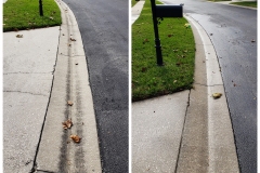 gutter-cleaned-before-after