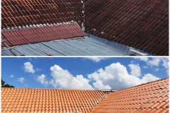 no-pressure-tile-roof-wash